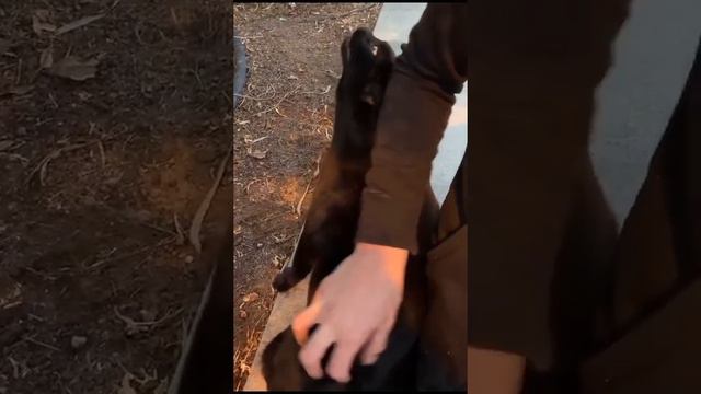 1000002187.mp4 смотреть онлайн