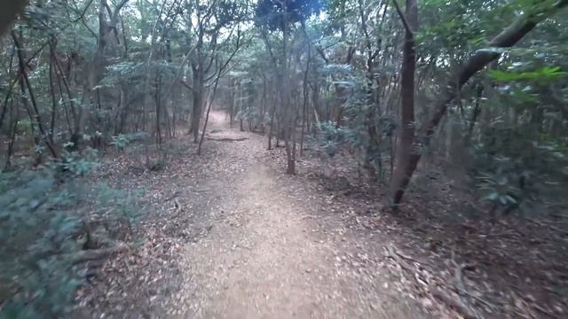 JAMIS  SEQUEL  Adventre Ride