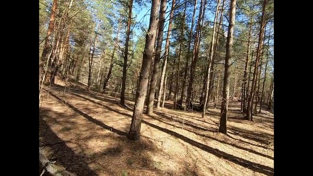 Снайпер на Охоте | бои в холмах | Геймплей снайпера | Sniper Airsoft смотреть онлайн