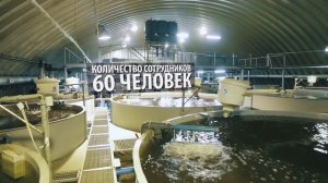 Сладковский рыбзавод / Тюмень