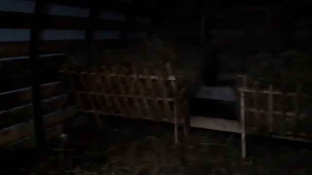 Предварительный смотр нового сарая "кошары" смотреть онлайн