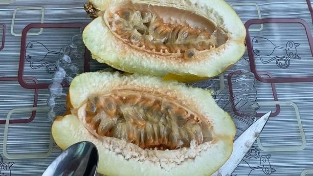 Passiflora Quadrangularis. Пассифлора квадрангуларис. смотреть онлайн