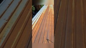 Как спасти оцинкованную кровлю