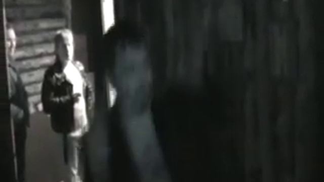 НШН, ТРОИЦА и танцующий КОНЬ