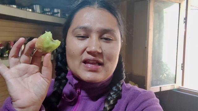 || Kiwi Season ( Kiwi Halwa Recipe ) In Kinnaur HP|| смотреть онлайн
