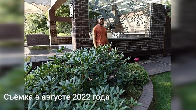 Пейзажный сад с хвойными и гортензиями. Ландшафтный дизайн, уход за участком в Образцово. смотреть онлайн