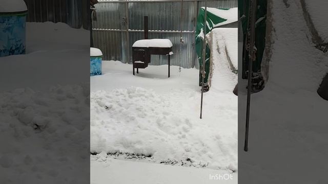 В Воронеж пришла зима❄️❄️❄️#снегидет смотреть онлайн