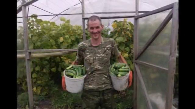 Честное Запорожье на сборе овощей. смотреть онлайн