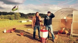 СЕКРЕТЫ ИНКУБАЦИИ ЯИЦ! Режимы инкубации куриных яиц. Температура и влажность в инкубаторе