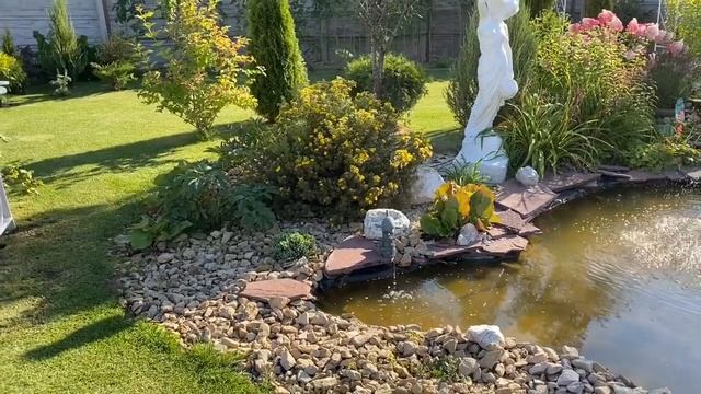 Уборка в августе, гортензии, гелениум , Хризантемы смотреть онлайн