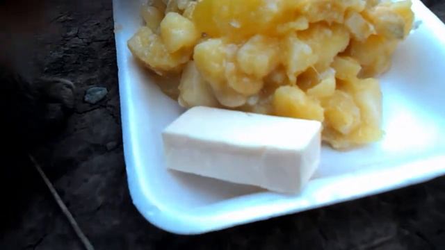 Котёнок, собака, щенки... Брошенный котёнок. Тридцать первый день. смотреть онлайн