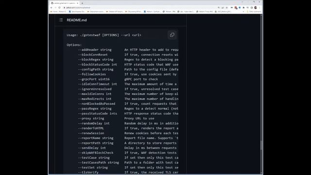 Black Hat US 2022 - Arsenal presentation -- GoTestWAF demo video смотреть онлайн
