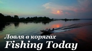 Как ловить джигом в корягах - Fishing Today