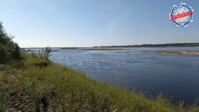 красная смородина #смородина #река #ягоды смотреть онлайн