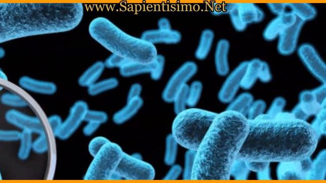 Ornidazol, Beneficios y Efectos Secundarios смотреть онлайн