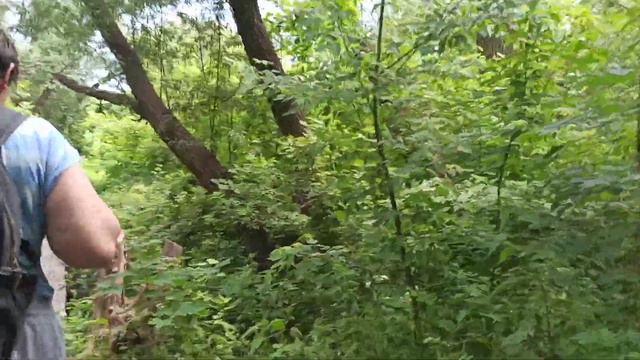 Джерело Коростишев (мини парк своими руками) смотреть онлайн