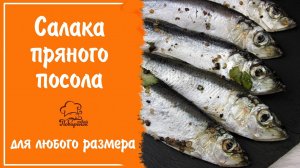 РАЗМЕР НЕ ИМЕЕТ ЗНАЧЕНИЯ - салака пряного посола, простой рецепт