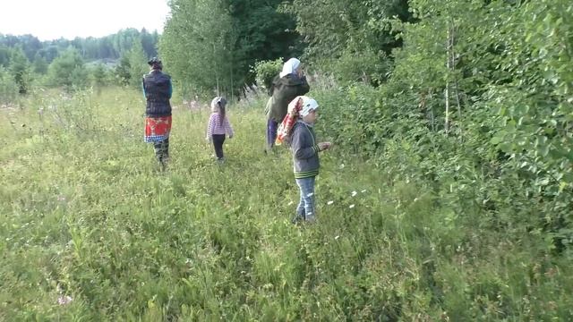 ВСЕЙ СЕМЬЁЙ В ТАЙГУ НА ПОИСКИ ГРИБОВ / ЕСТЬ ПЕРВЫЕ ЯГОДЫ / НАТКНУЛИСЬ НА ВЫВОДОК ТЕТЕРЕВОВ. смотреть онлайн
