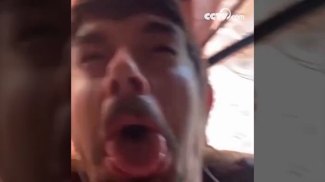 Хозяин подражает собаке, высовывая язык смотреть онлайн