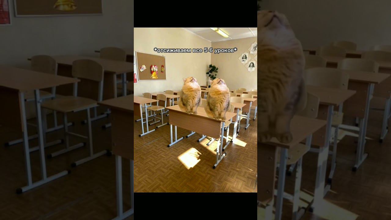 мой школьный день #прикол смотреть онлайн