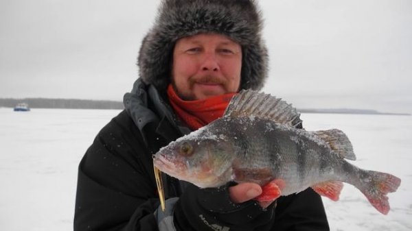 Обзор зимних блёсен EcoPro: DETONATOR и SHPROT