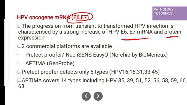 HPV Infection And Biomarkers In Cervical Cancer # VACCINE For Cervical Cancer