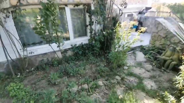 Где живём в Черноморском. Райский уголок! Сентябрь 2022. Крым смотреть онлайн