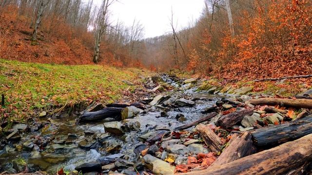 Звуки Природы - Шум Ручейка, 1 Час безмятежного Сна смотреть онлайн