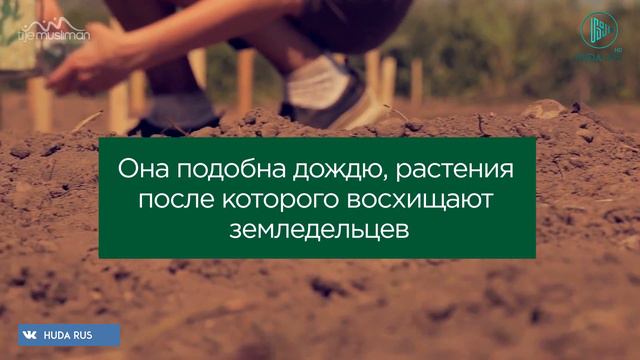 Мирская жизнь всего лишь игра и потеха смотреть онлайн