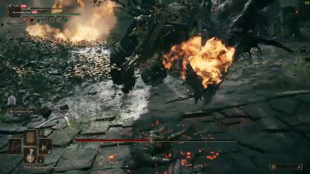 Godrick - Solo - Sl 35 +4 Halberd - Blind Playthrough - Elden Ring смотреть онлайн