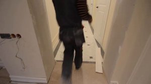 Запиливаем плинтуса под прямым углом и стыкуем с наличником.