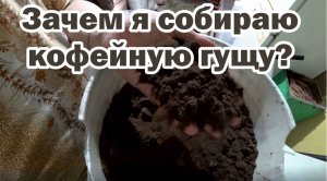 Зачем мне кофейная гуща?