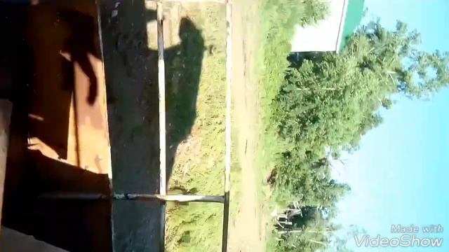 Все на борт!) смотреть онлайн