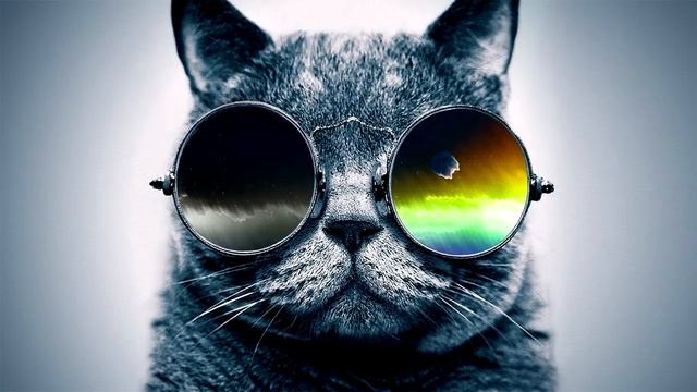 Panda Eyes-Color blind for 1 hour смотреть онлайн