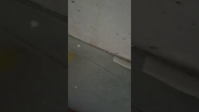 Как найти угол без транспортира. смотреть онлайн