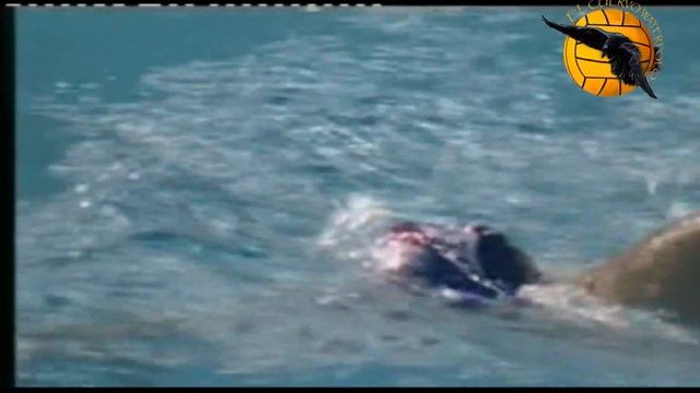 Jadran 10 Budva 9 Final Montenegro League 2012 game 1 water polo смотреть онлайн