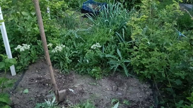 цена клубника на Привозе на 14.05.2023 опт смотреть онлайн