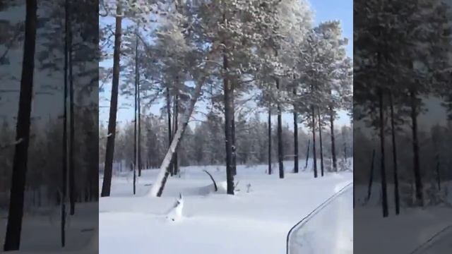 Стелс Викинг 600