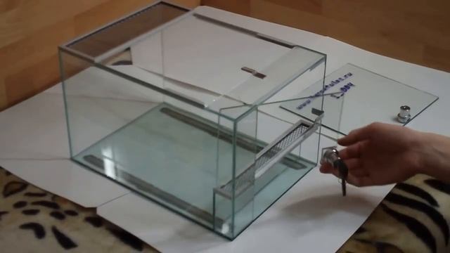 Экспериментальный паучатник смотреть онлайн