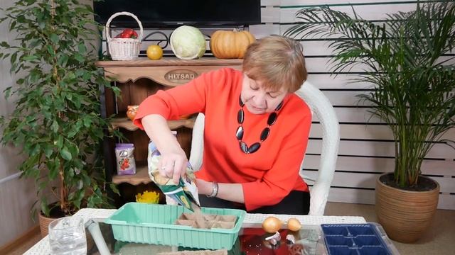 Огород на подоконнике ? Выращиваем лук и чеснок в вермикулите ? Мастер-класс смотреть онлайн