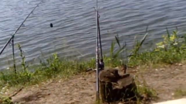 рыбалка в кузькино смотреть онлайн