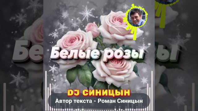 DJ СИНИЦЫН - Белые розы 2025 смотреть онлайн