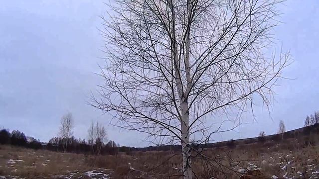 Показываю бывший колхоз. На коньках по тонкому льду. Готовим домашнюю пиццу. Жизнь в деревне. смотреть онлайн