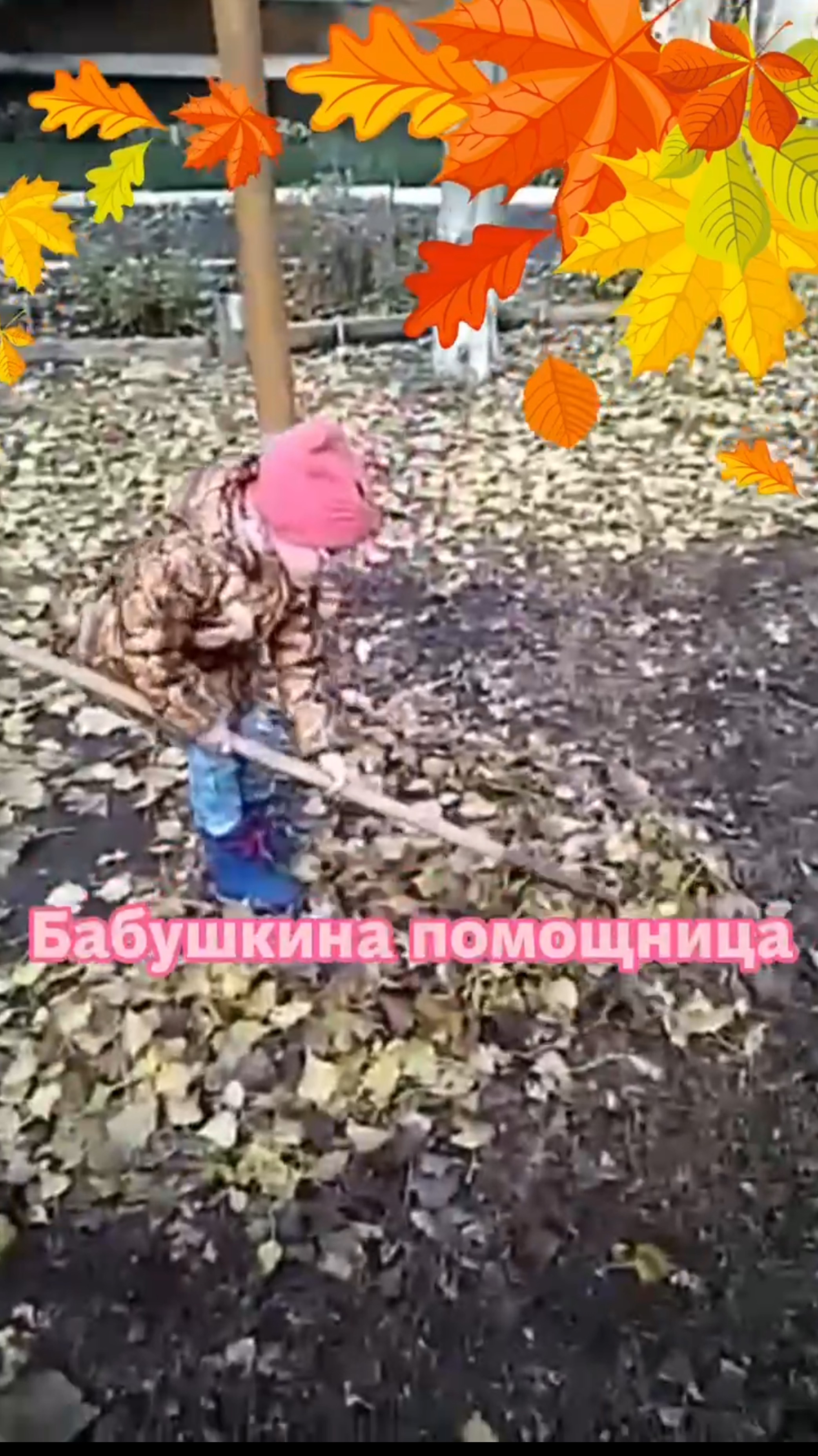 Бабушкина помощница смотреть онлайн