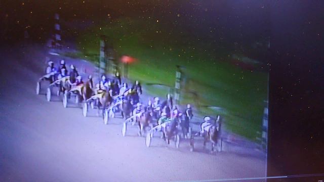 Solvalla 27 Augusti 1989 Internationellt Damlopp Vinnare:Swing Tystebols смотреть онлайн