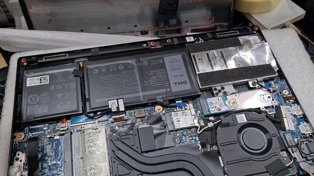 Laptop Dell Latitude 3420 I5 1135G7 ssd 250G (Nâng cấp được HDD và Ram) смотреть онлайн