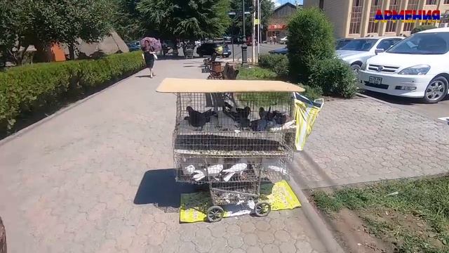 Армения #12. Полная версия путешествия по Армении смотреть онлайн