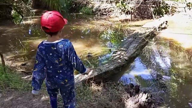 KEREN, DITEMPAT INI DITEMUKAN BERAPA JENIS TANAMAN AQUASCAPE смотреть онлайн