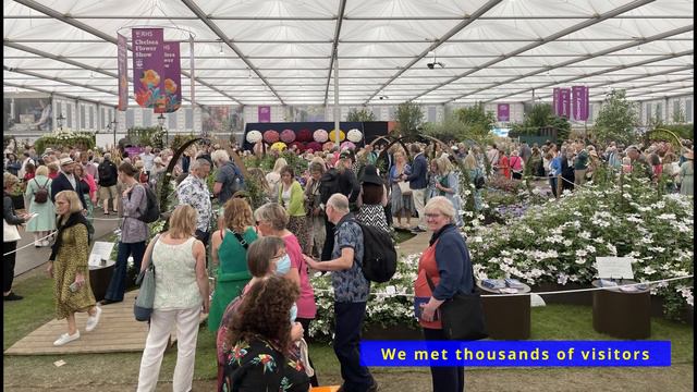 Raymond Evison Clematis - The RHS Chelsea Flower Show 2023.