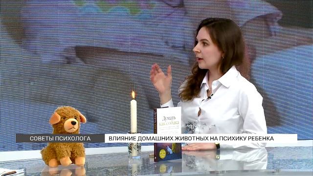 Как домашние животные влияют на психику ребенка? смотреть онлайн